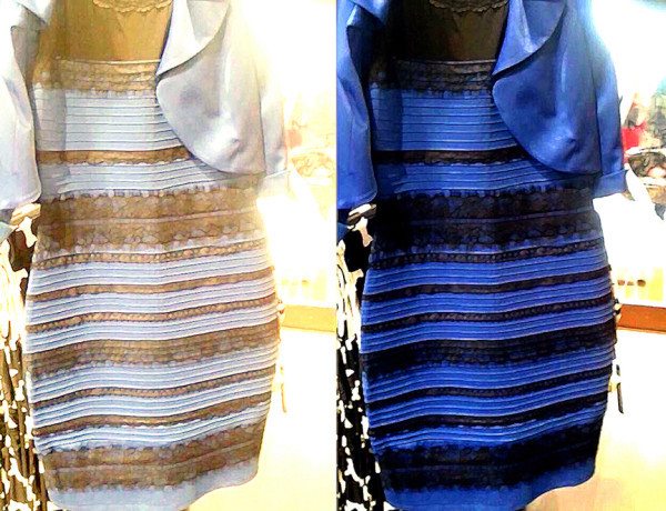 Gold And White Or Blue and Black: What #Dressgate Teaches Us About How ...